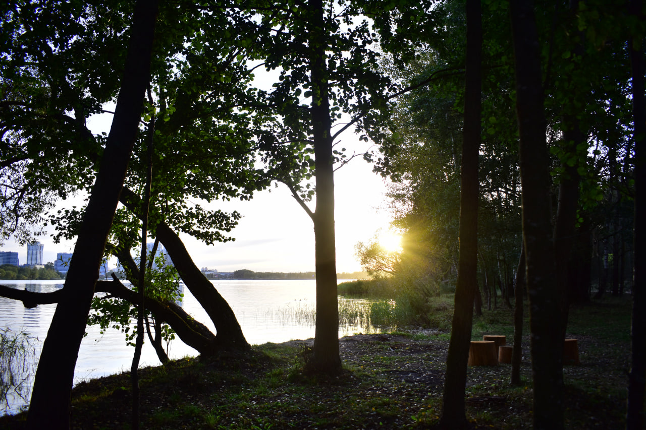 закат Дрозды