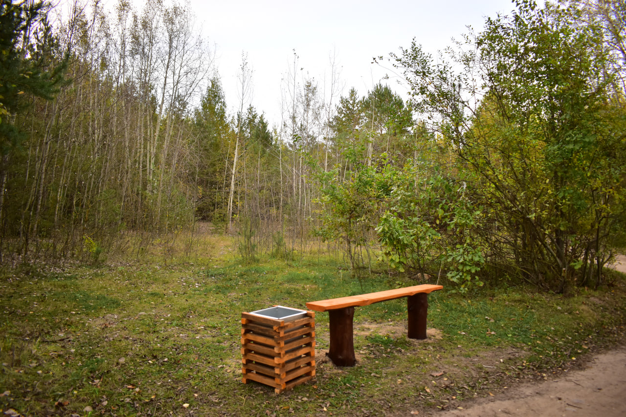 экологическая тропа скамейка