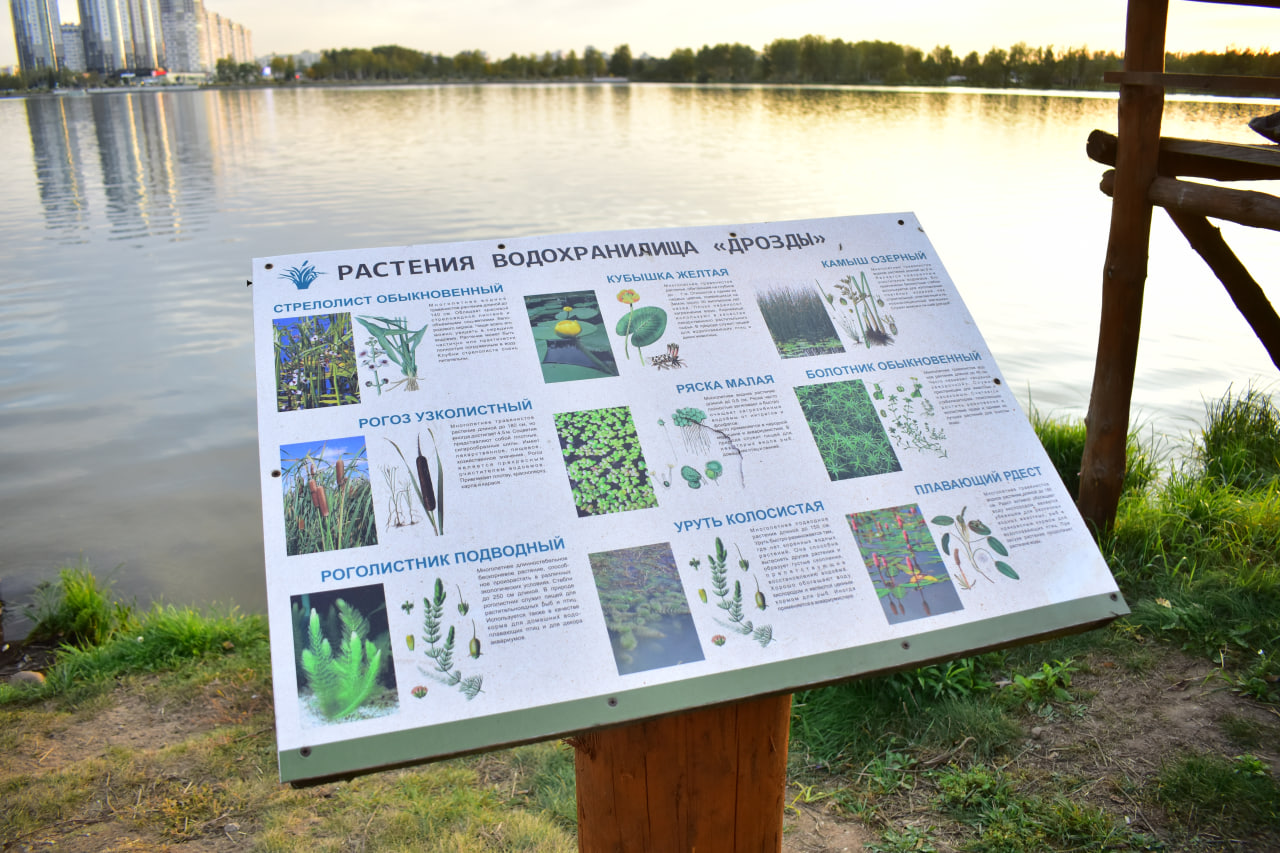 стенд экологическая тропа