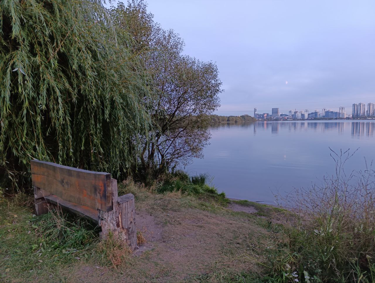 Дрозды водоём