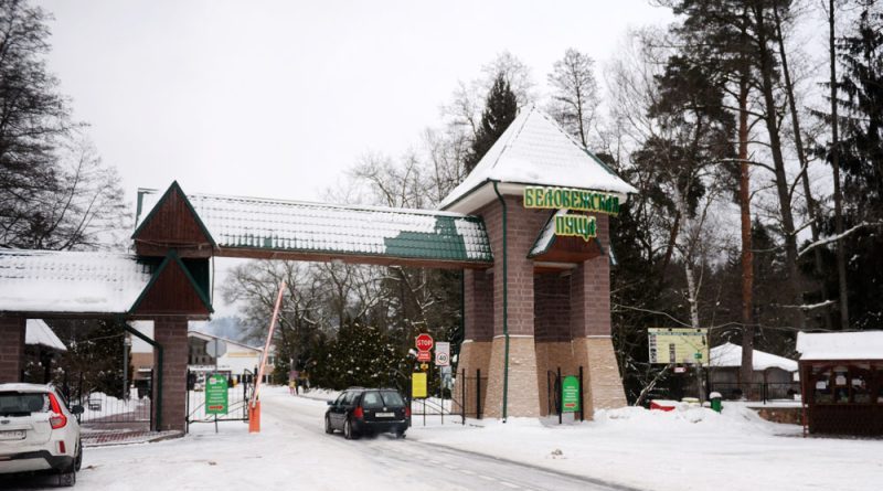 Беловежская пуща новый год зима туры