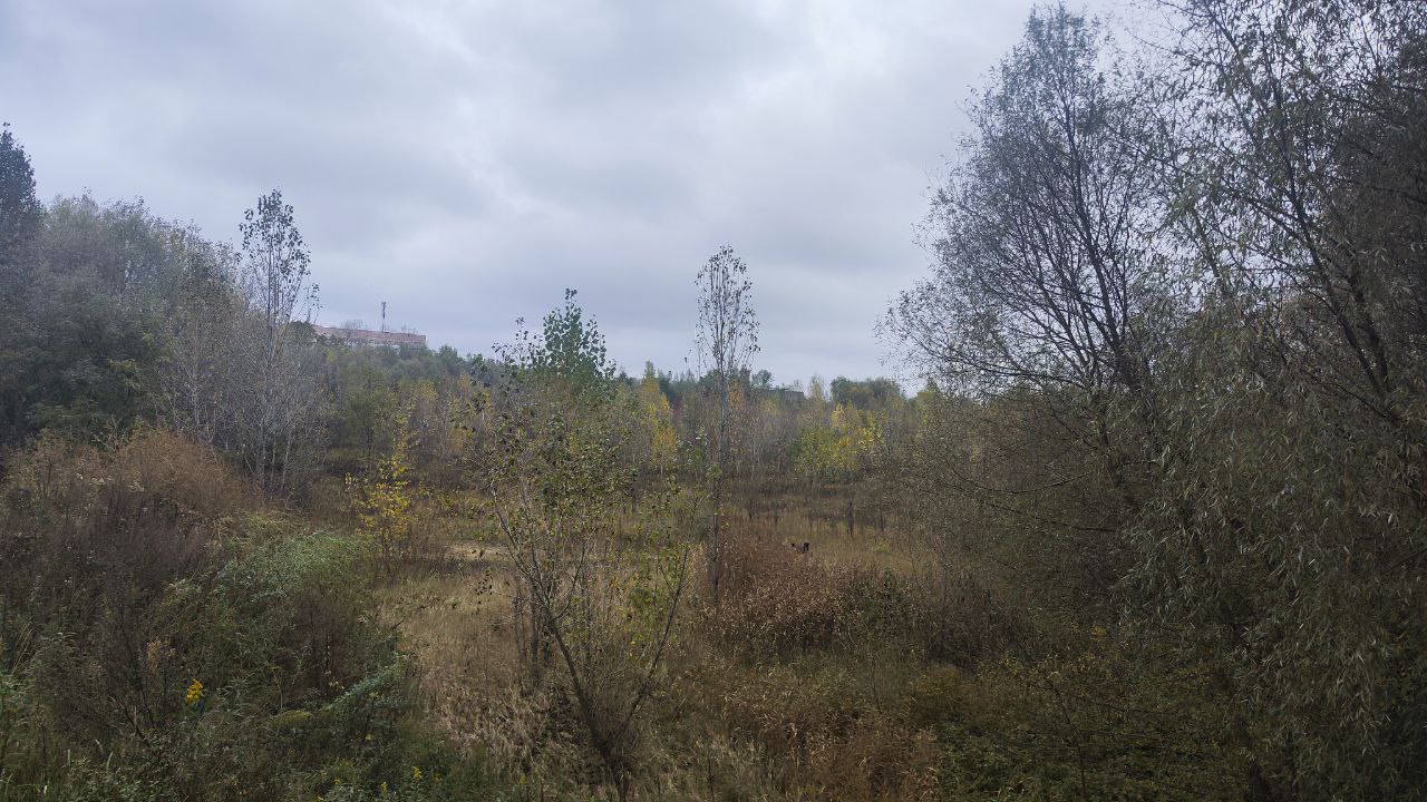 пустырь перед областной больницей