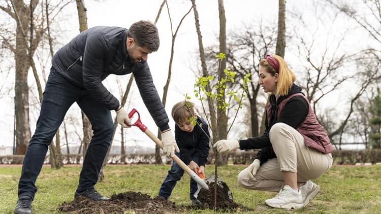 Единый день озеленения 2025 в Витебской области