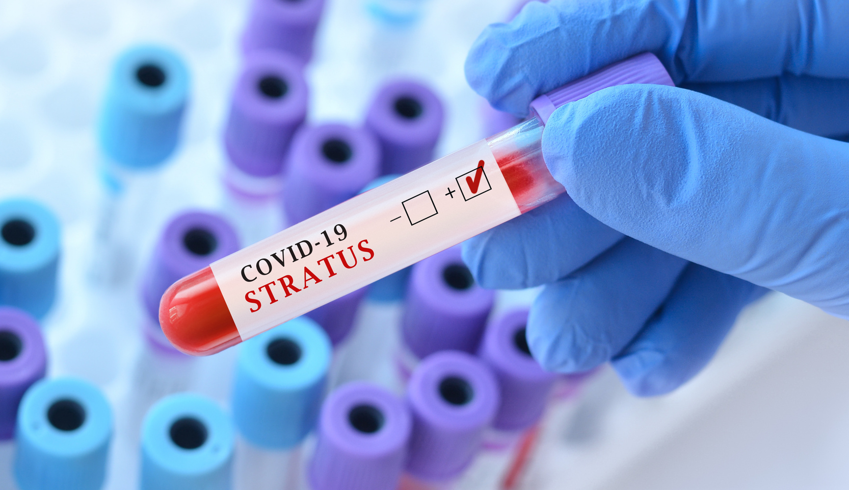 стратус вирус