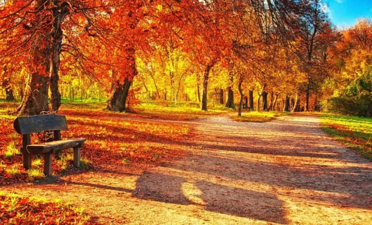 «Второе лето» в Беларуси: погода в октябре удивит температурным рекордом до +27°C