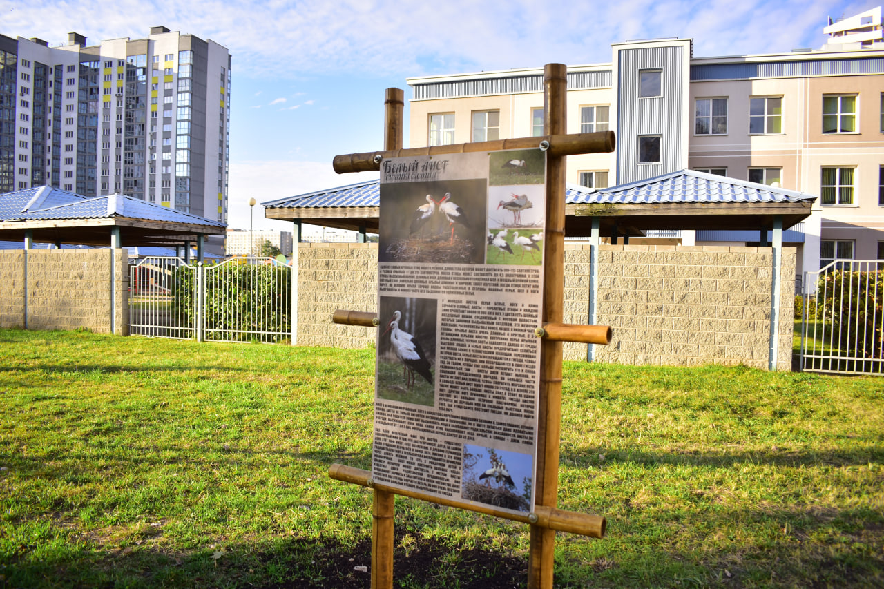 информационный стенд