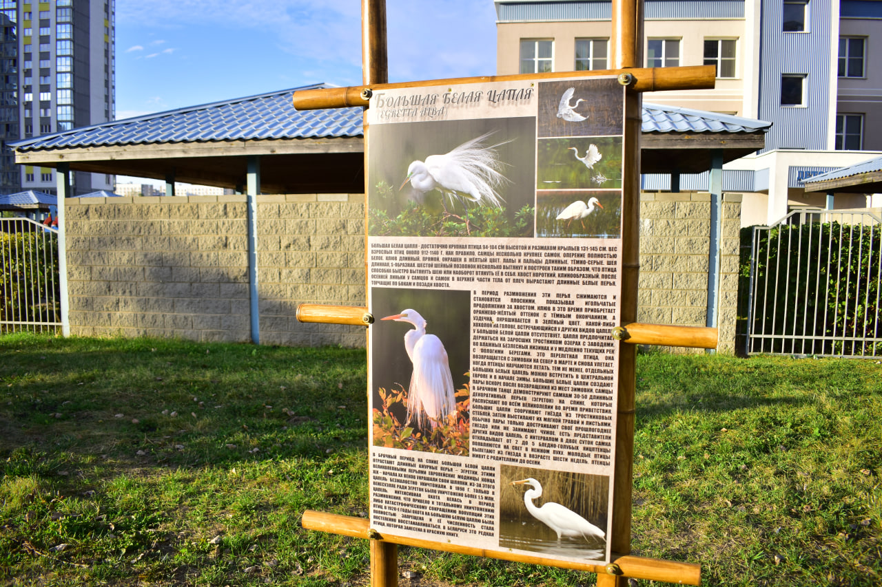 стенд цапля