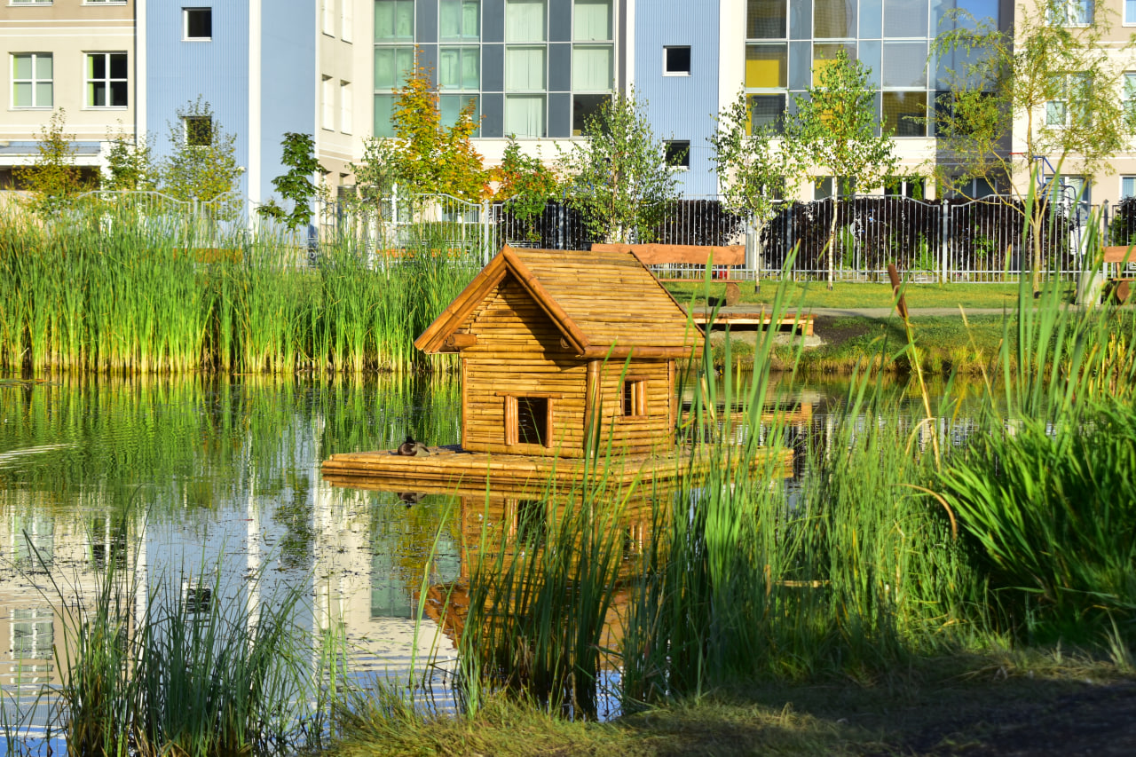 домик для уток