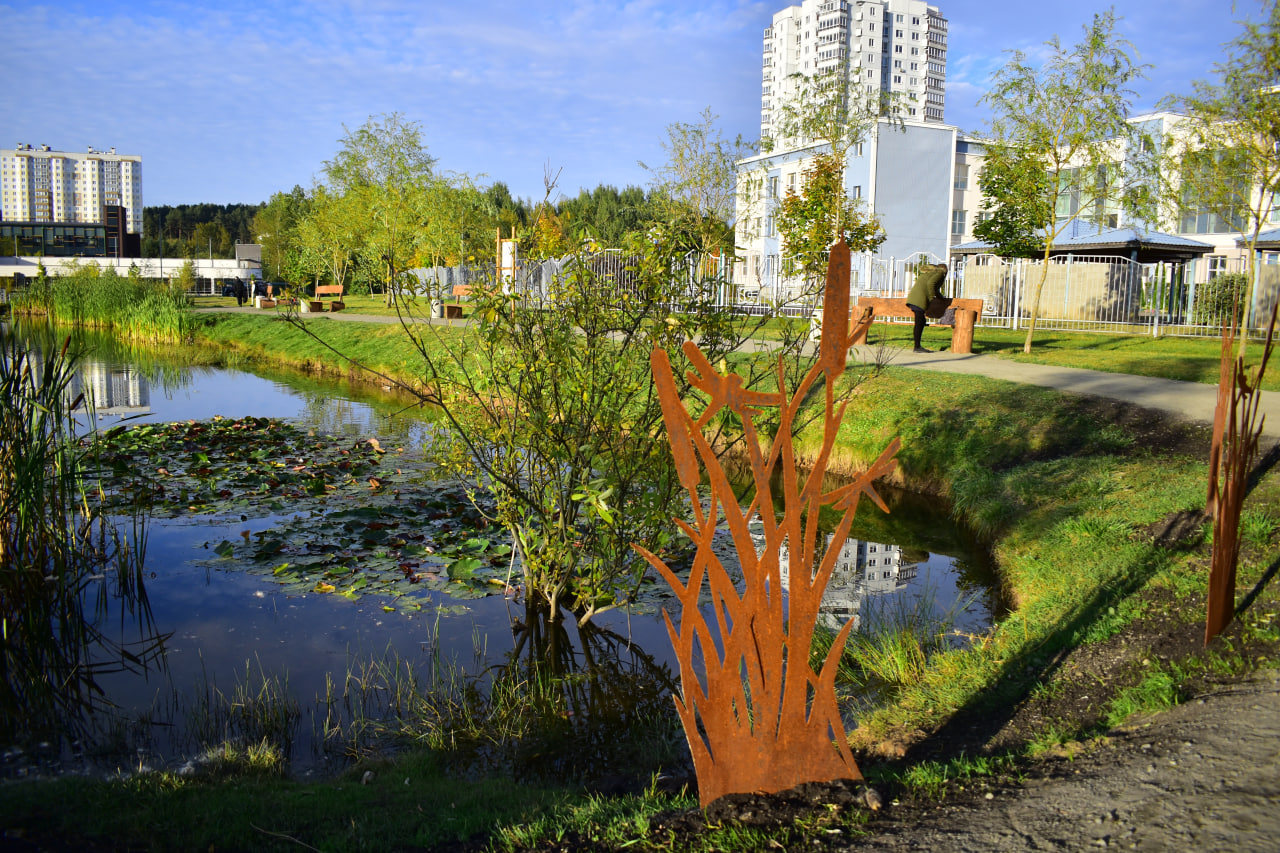 оформление пруда