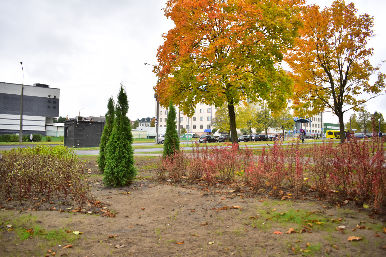 озеленение благоустройство