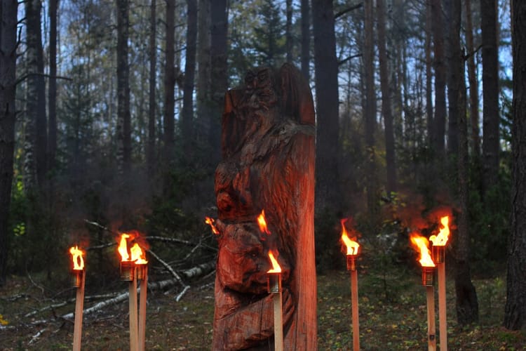 Велесова ночь в Березинском биосферном заповеднике