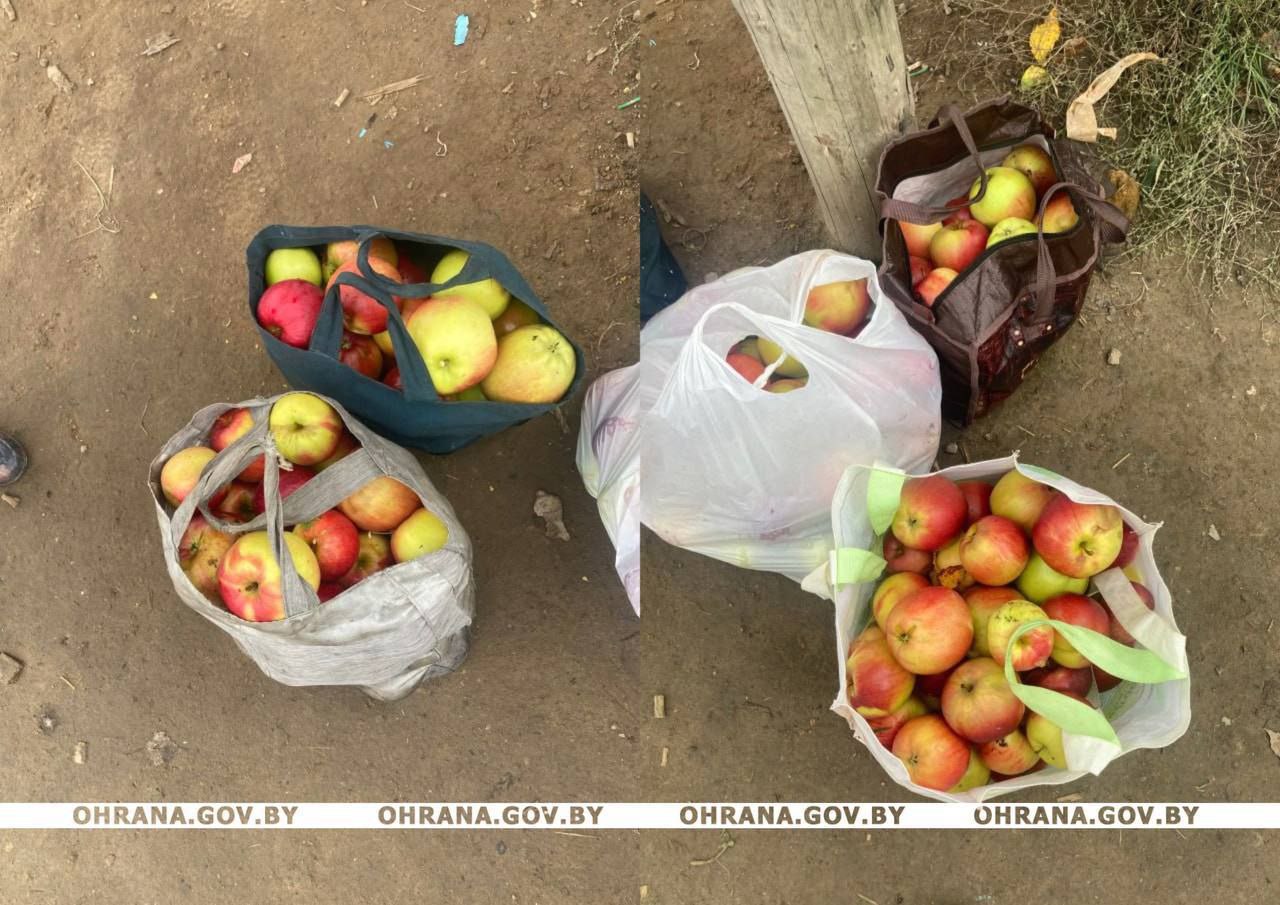 задержание за хищение