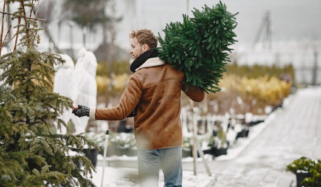 Елочные базары