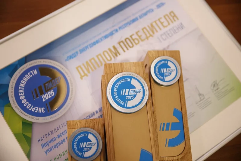 Диплом победителя