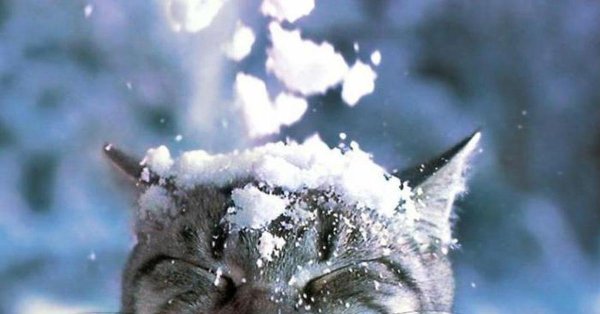 Что изменится для белорусов с 1 декабря