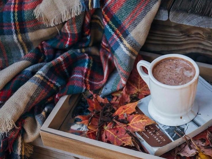 уют осень плед чай