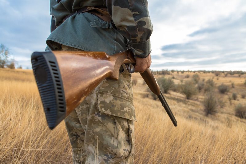 Беларусь полностью меняет правила охоты с 1 января