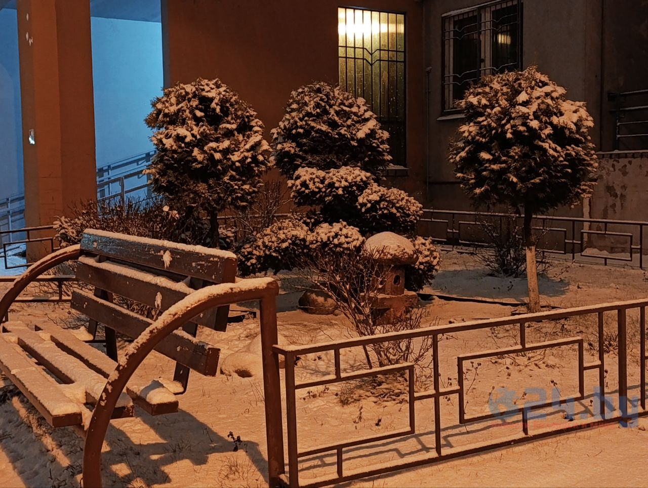 деревья снег