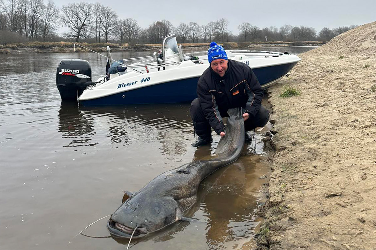сом в Припяти