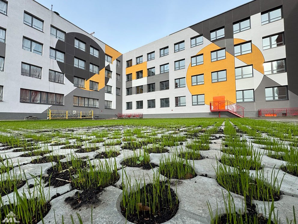 школа плитка газон