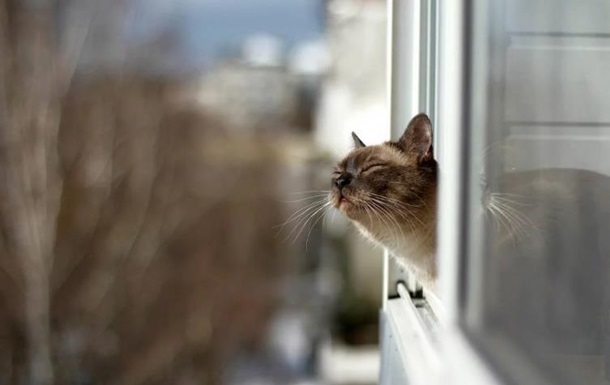 Хорошая погода