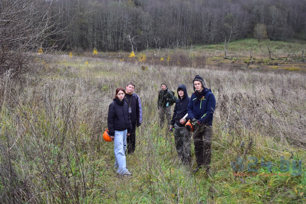 путешествие