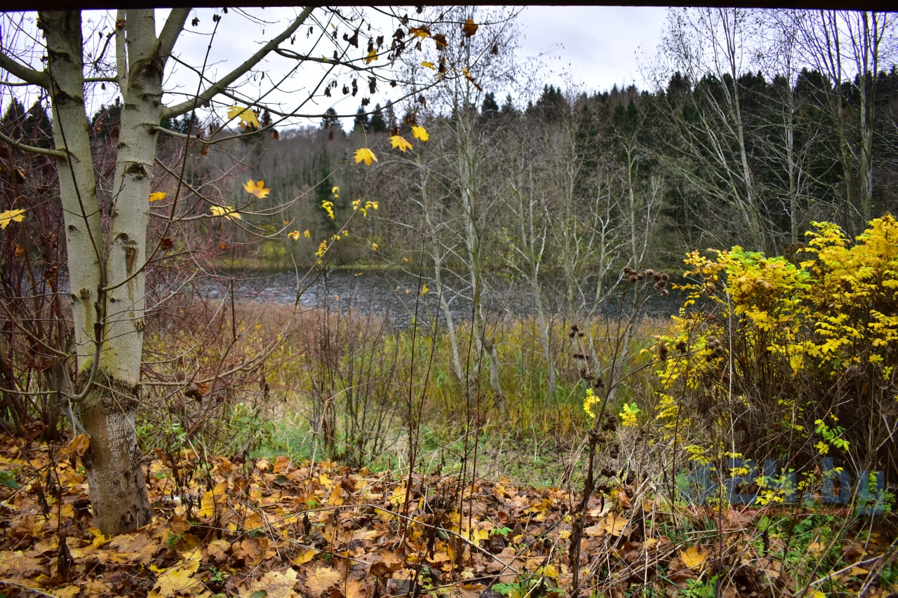 берег озера