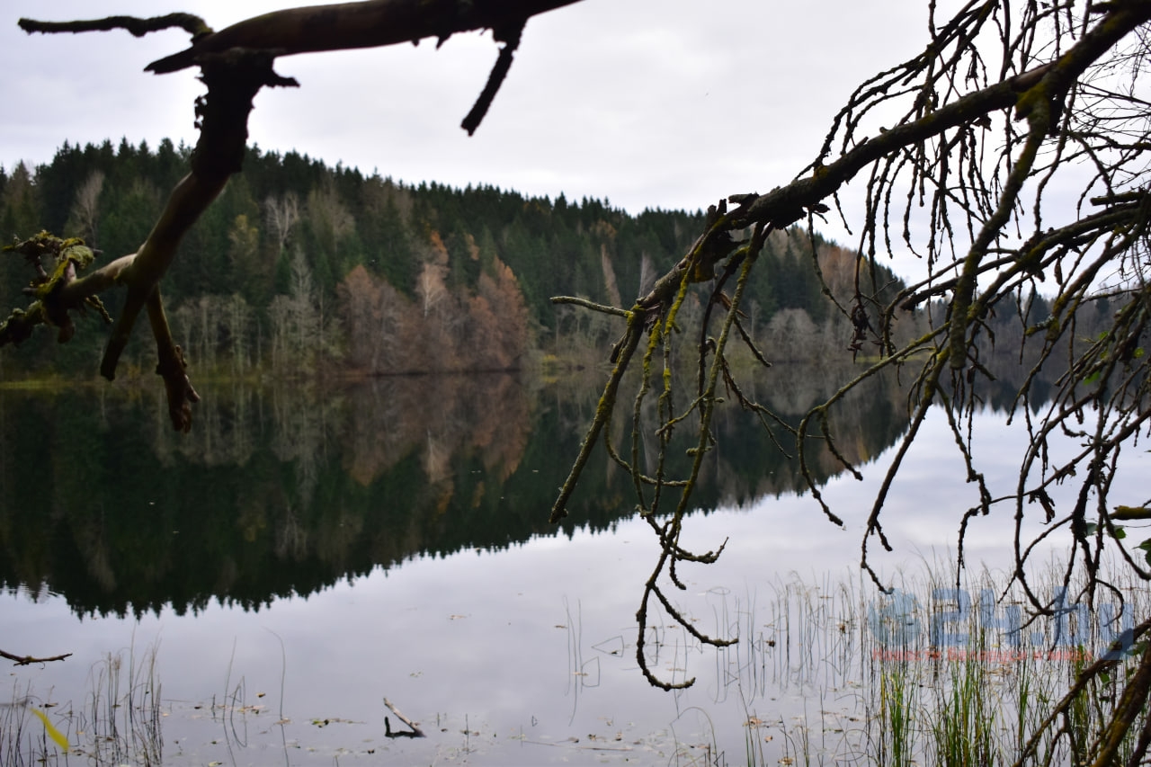 озеро Гиньково