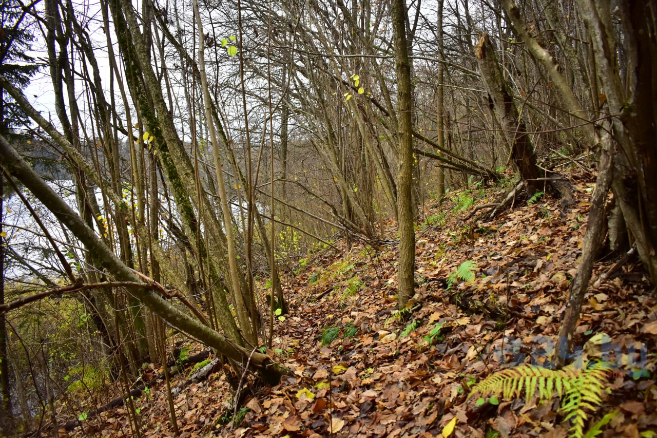 склон холма