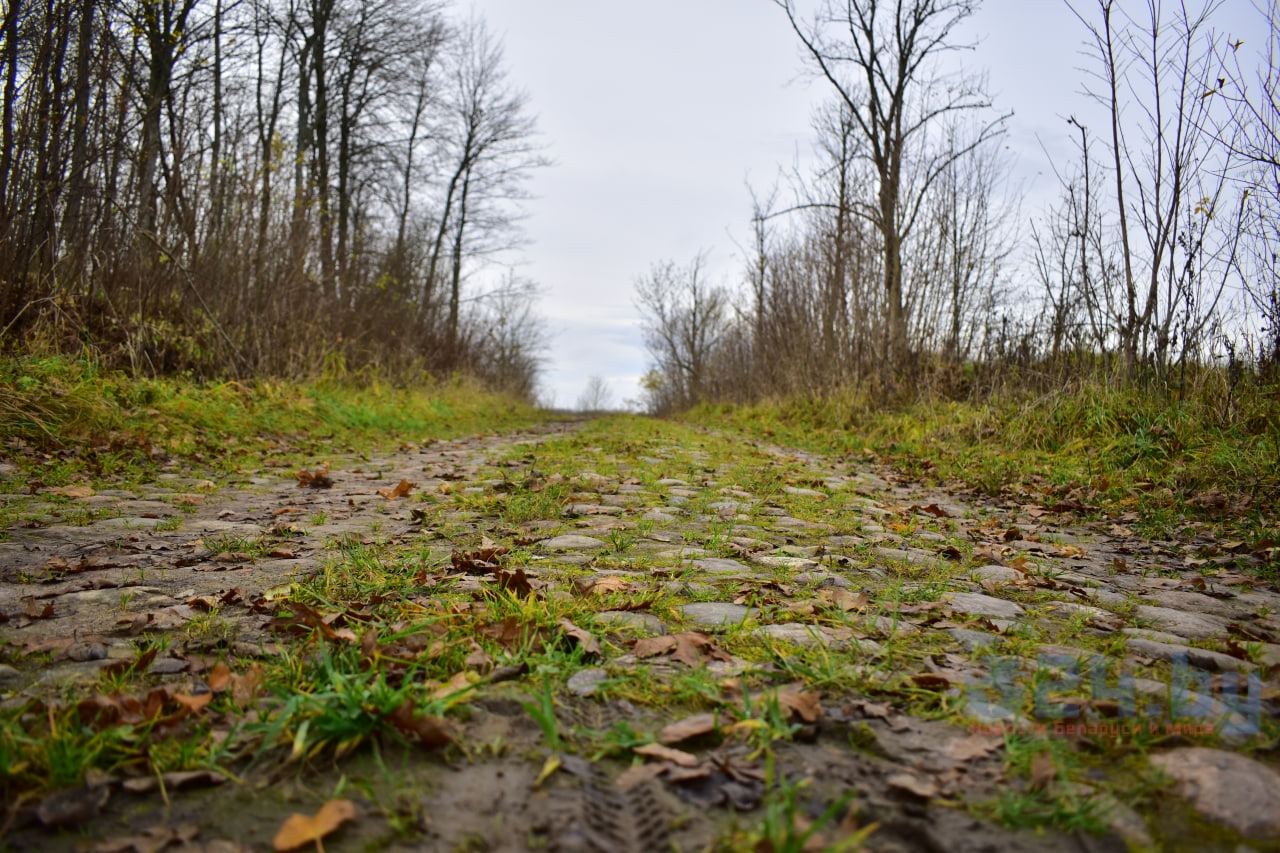августровский шлях брусчатка