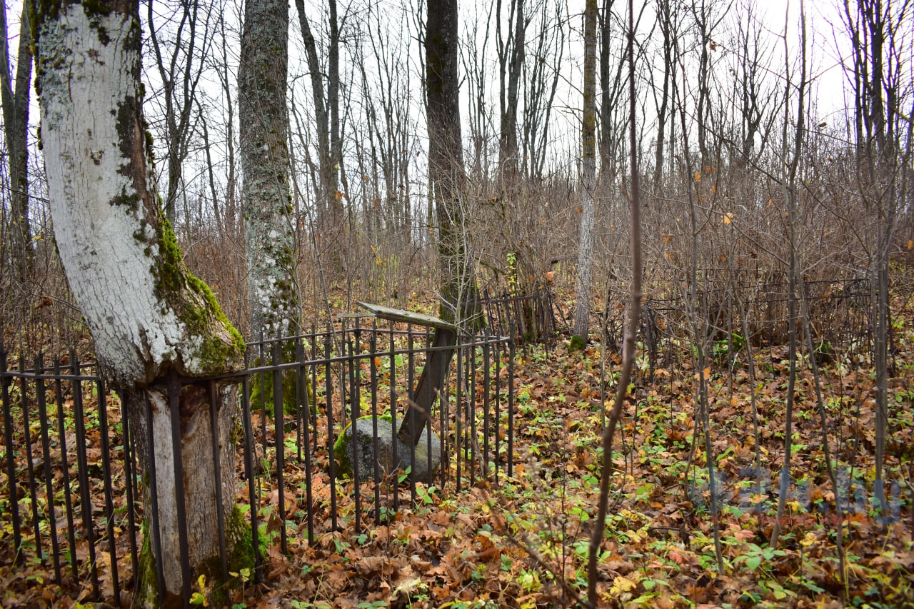 старое кладбище Прозороки