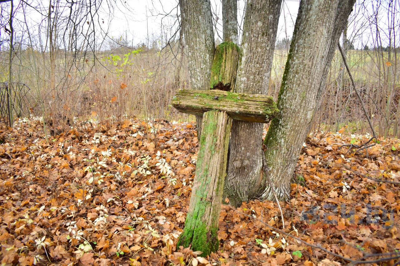 крест заброшенное кладбище