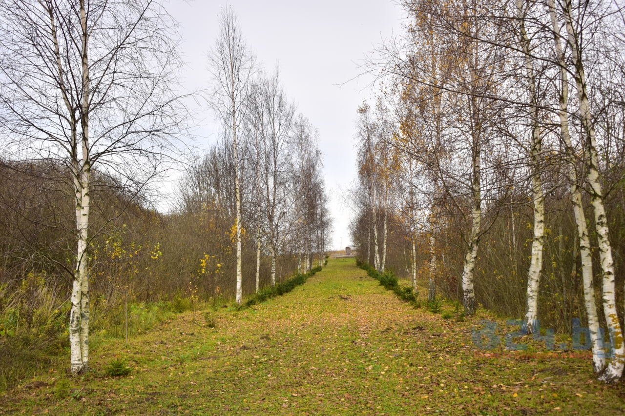 аллея мемориал