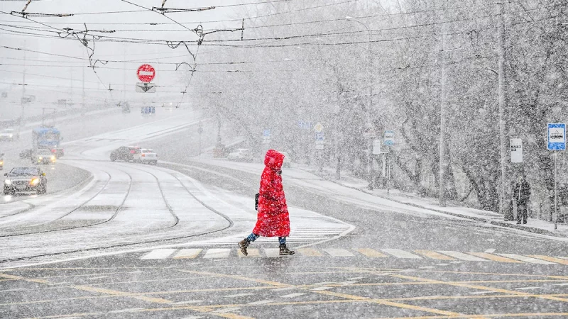 Снег женщина переходит дорогу холодная погода