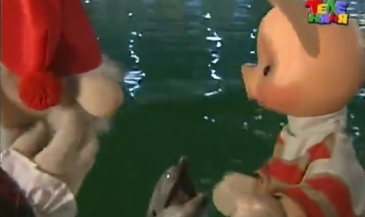 «Спокойной ночи, малыши!» дельфинарий