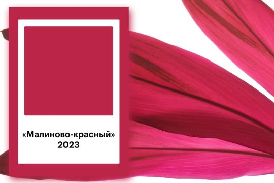 2023 цвет года Viva Magenta