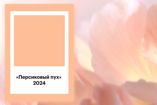 Цвет 2024 Peach Fuzz («Персиковый пух»)