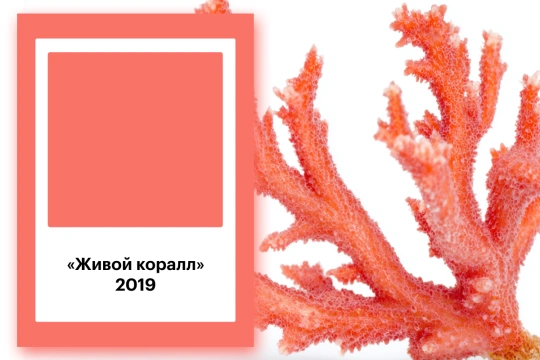 Living Coral («Живой коралл») цвет года