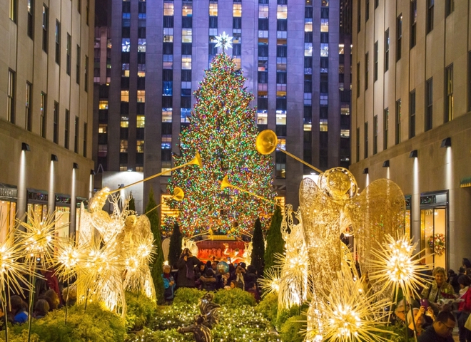 новогодняя ёлка