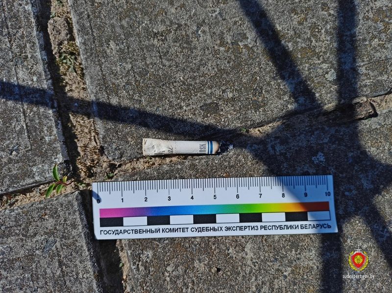 улика окурок уголовное дело Добруше