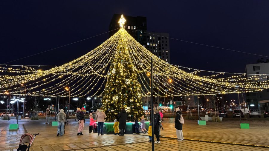 Елка новая боровая зажжение Новый год