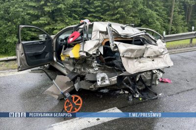 Смертельное ДТП М2 приговор