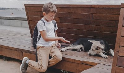 домашние животные ребенок школьник школа Беларусь