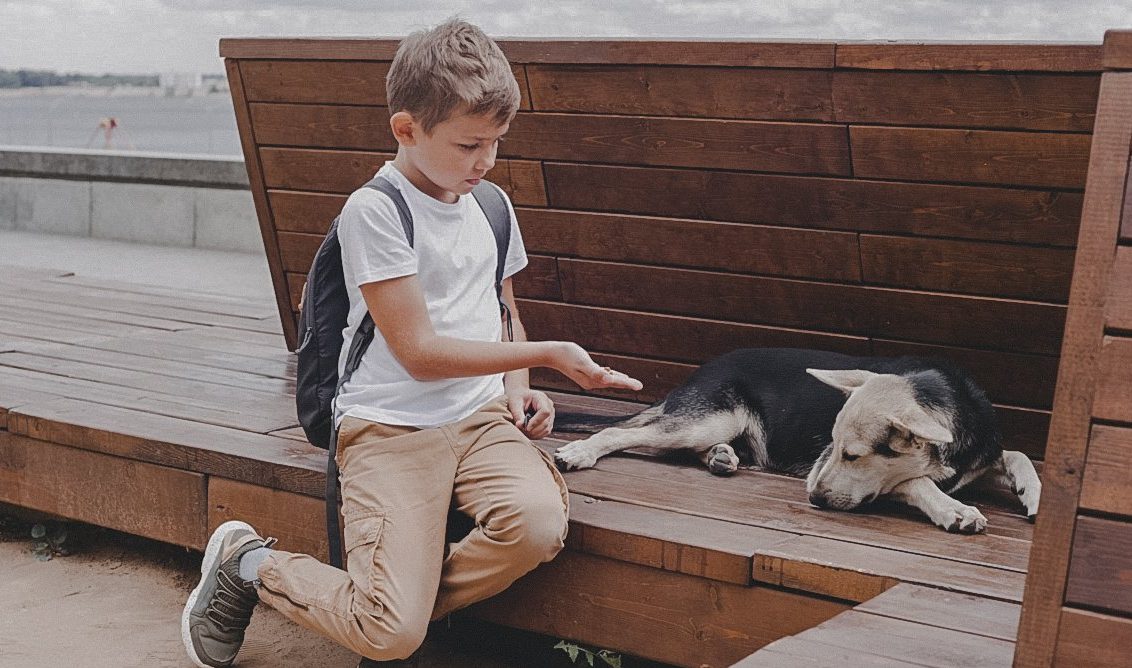 домашние животные ребенок школьник школа Беларусь