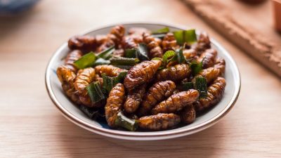 Жареные во фритюре шелковые черви (Хон мхай)