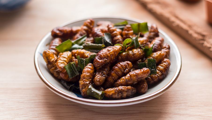 Жареные во фритюре шелковые черви (Хон мхай)