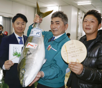 особый желтохвост самая дорогая рыба аукцион Япония