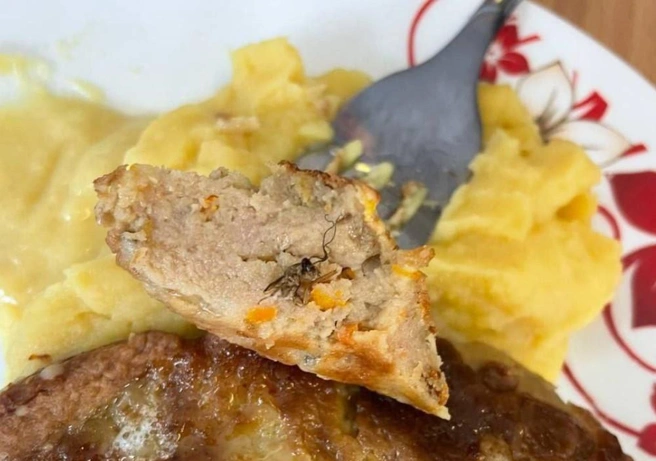 таракан школьной еде