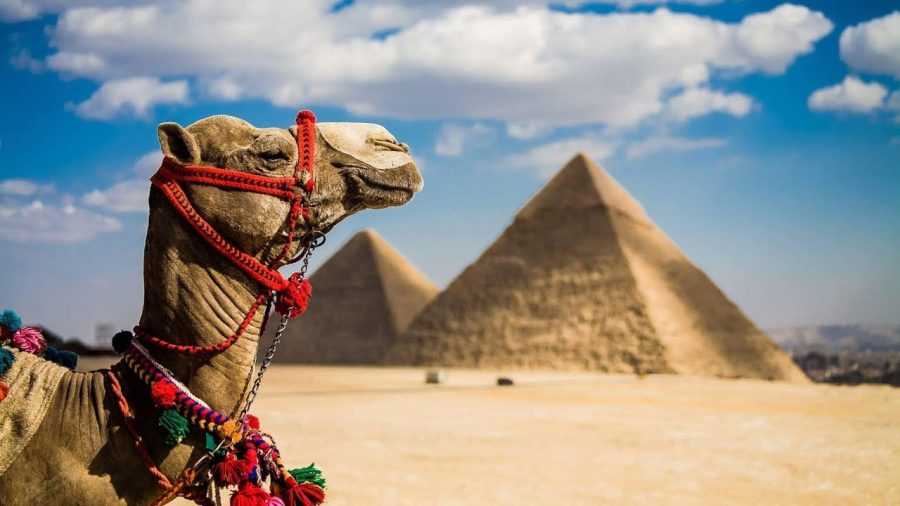 Египет поездка пирамиды виза