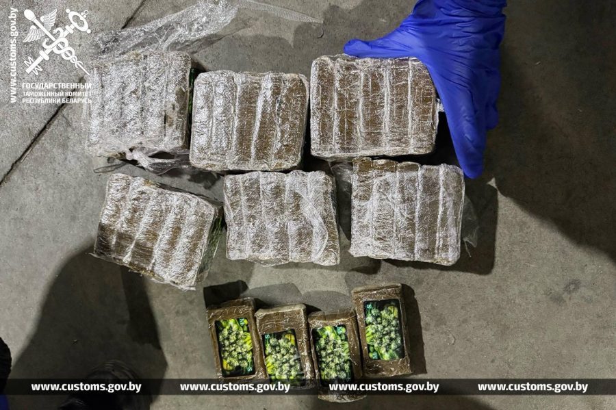 наркотики незаконный ввоз ЕАЭС контрабанда